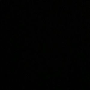 Meet your Posher, Tayler